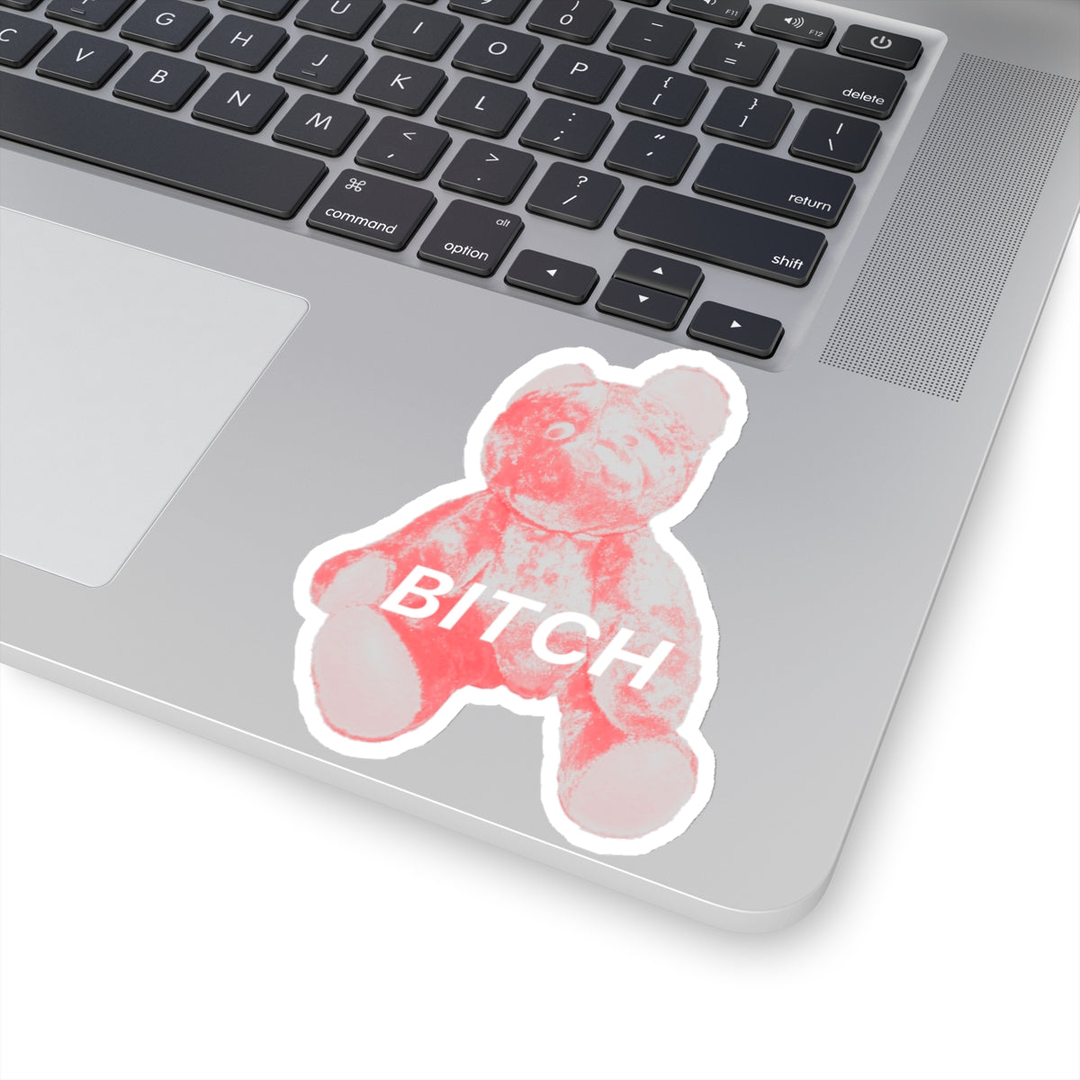 BITCH Pink Bear Sticker