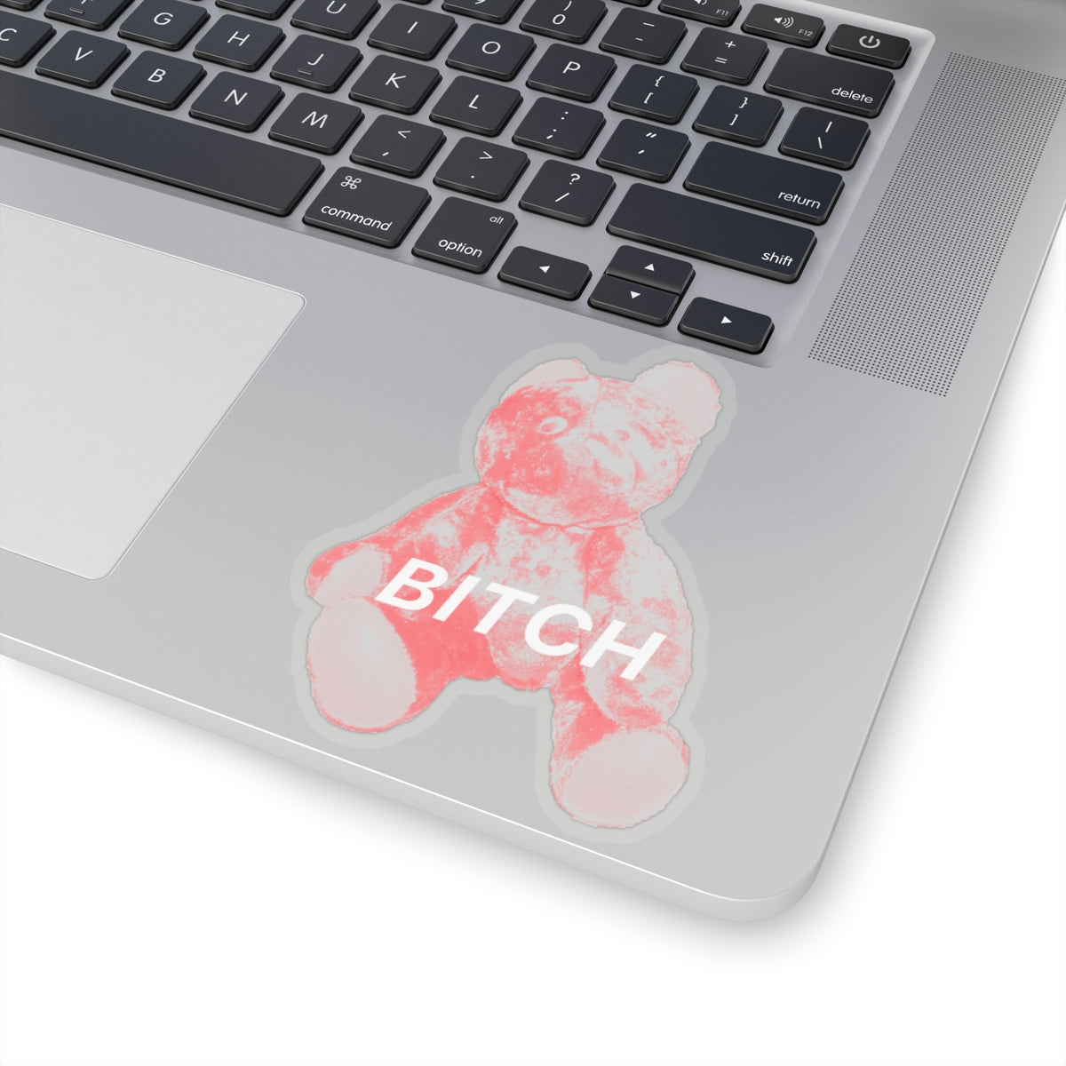 BITCH Pink Bear Sticker