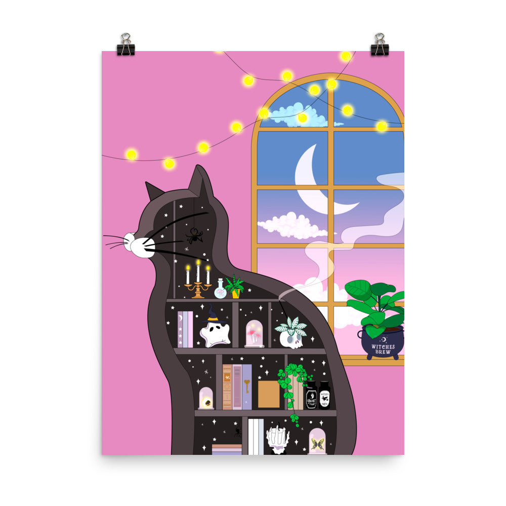 Dreamy Spells and Cat Shelves Poster